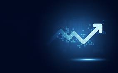 Flex Market Insights